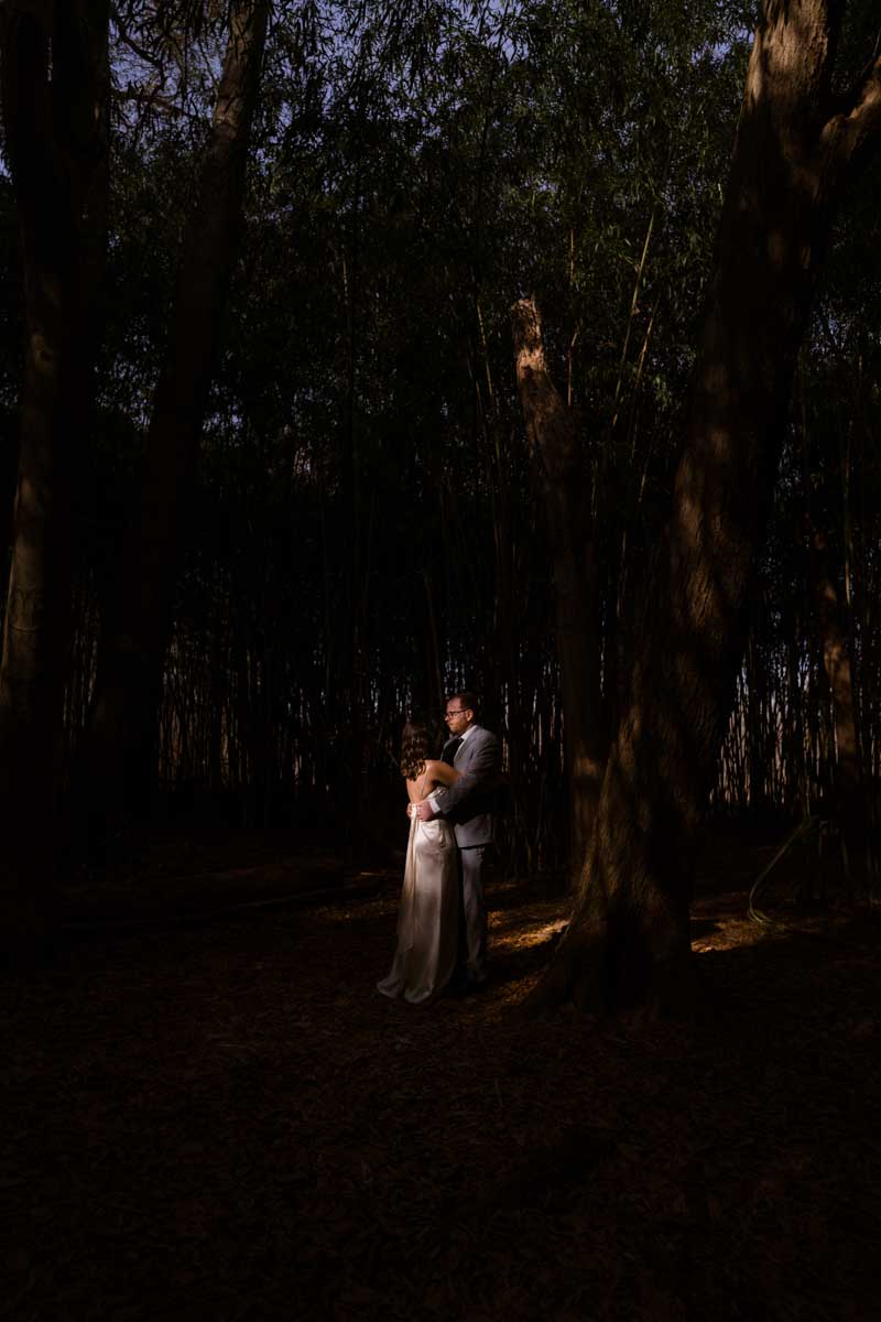 Engagements and Elopements