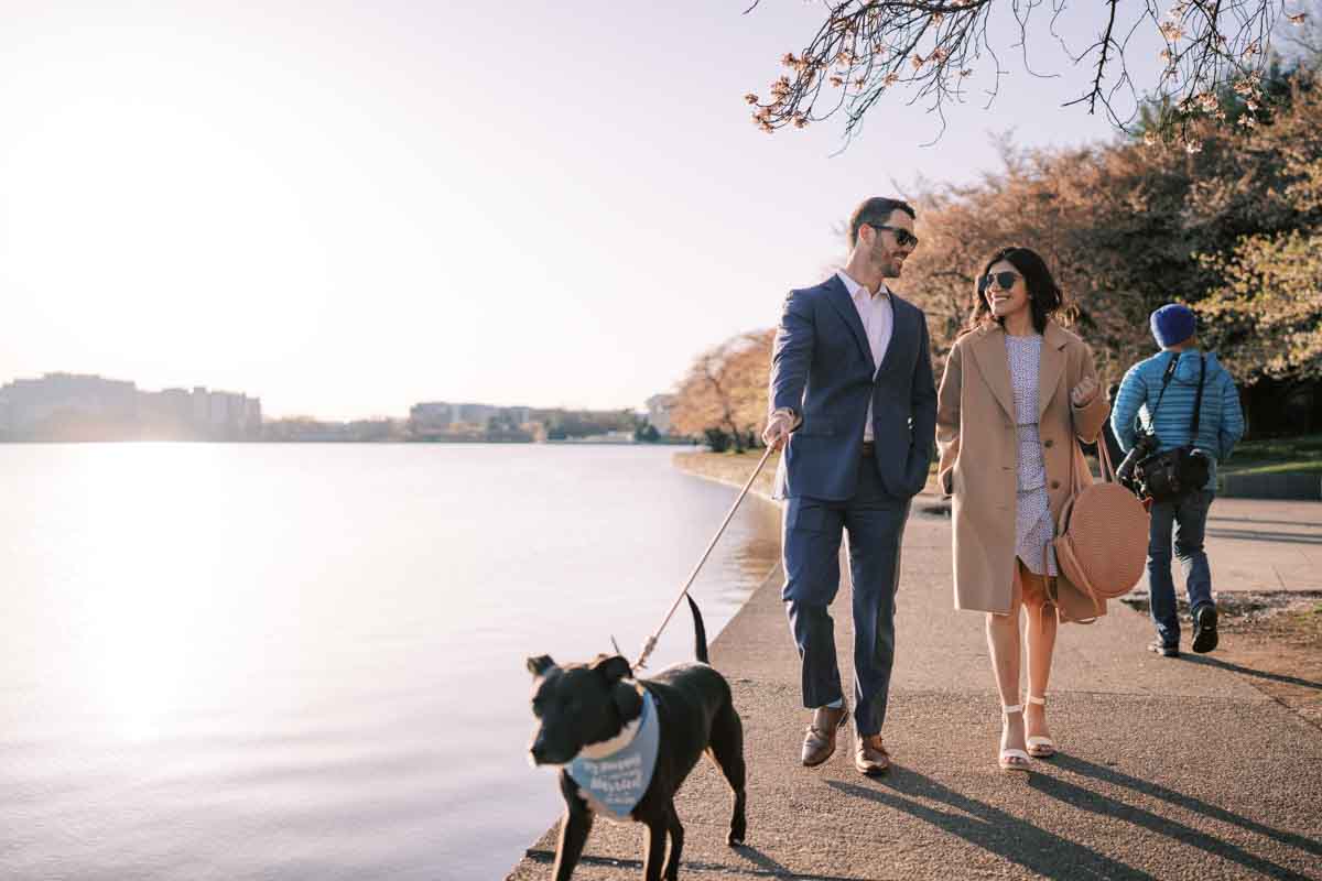 Engagements and Elopements